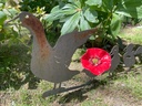 IMG_4775.jpg