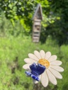 IMG_4755.jpg
