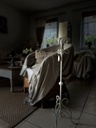 IMG_3080.JPEG