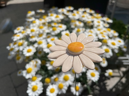 Marguerite en céramique