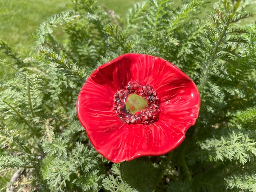 Coquelicot en céramique